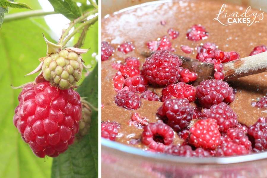 Picking raspberries and folding them into the chocolate and raspberry cake batter