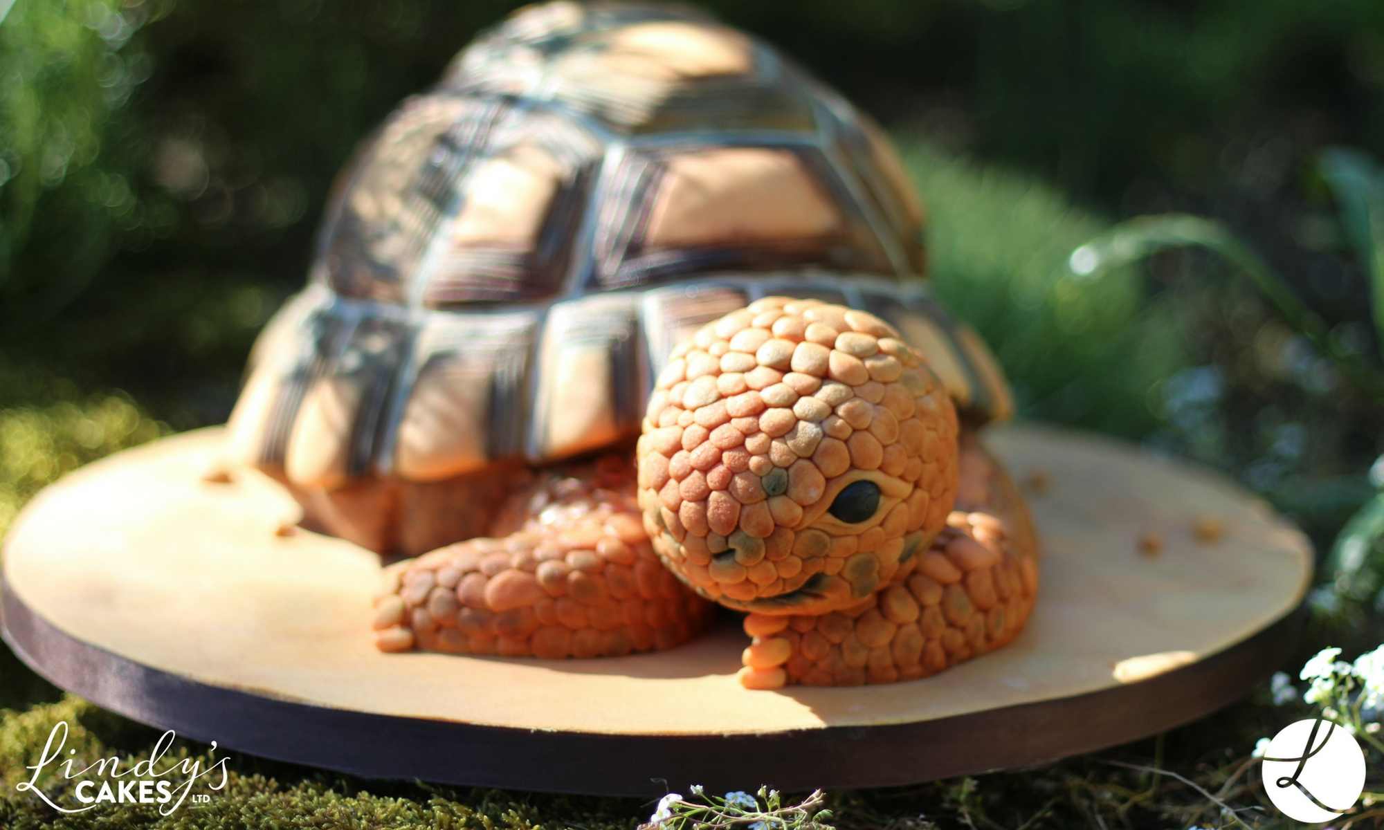 tortoise cake from 'Party animal cakes' book by best-selling author Lindy Smith