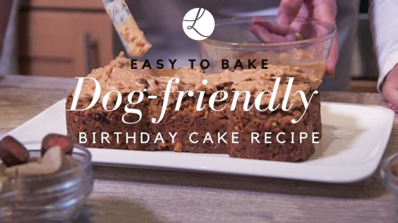 dog-friendly birthday cake recipe