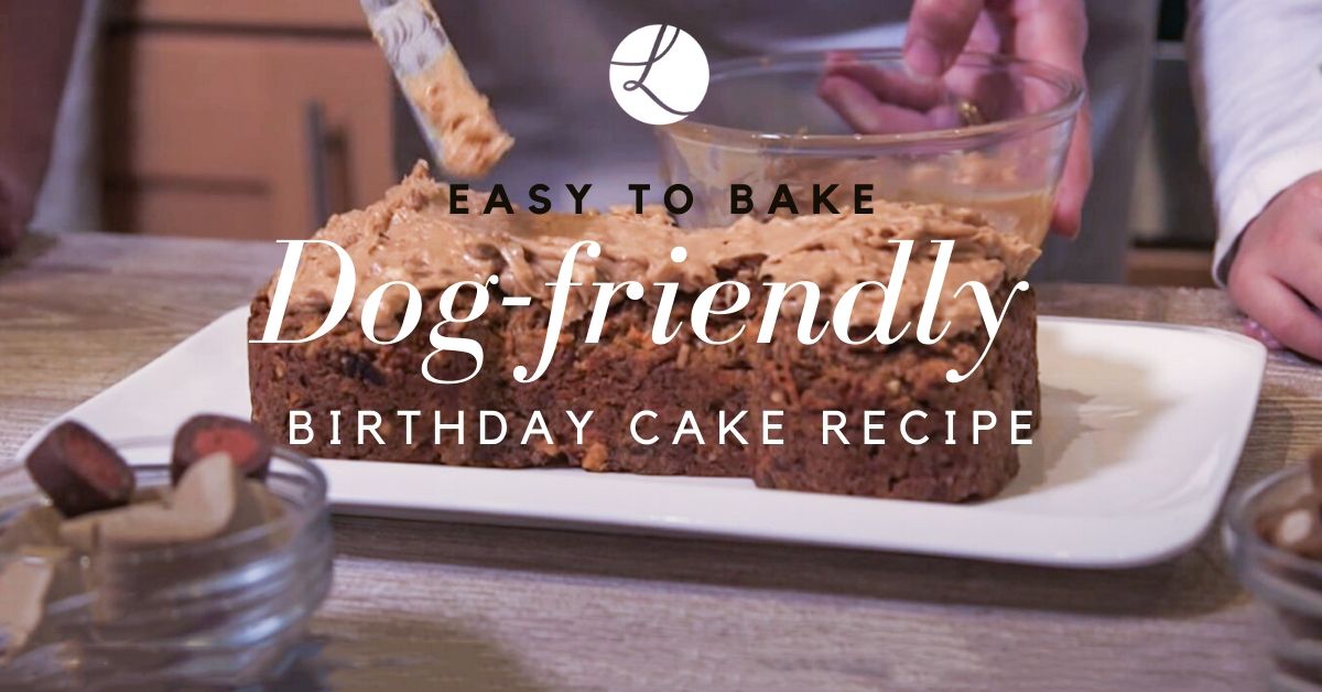 dog-friendly birthday cake recipe
