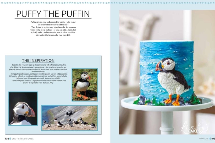 puffy the puffin cake from Lindy Smith's new book - One tier party cakes