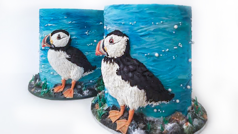 2 puffin cakes at a photoshoot