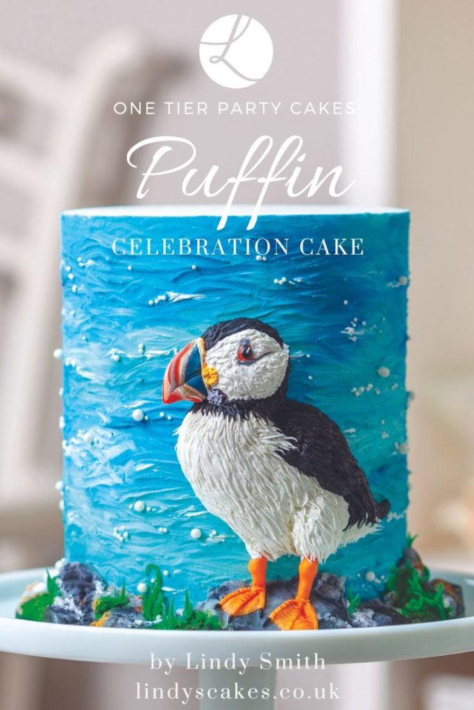 Puffin celebration cake by Lindy Smith from One tier party cakes