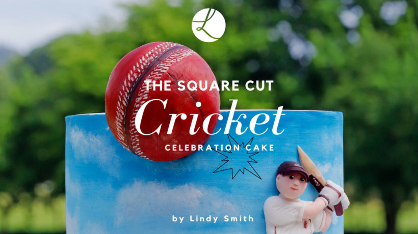the square cut - cricket celebration cake by Lindy Smith