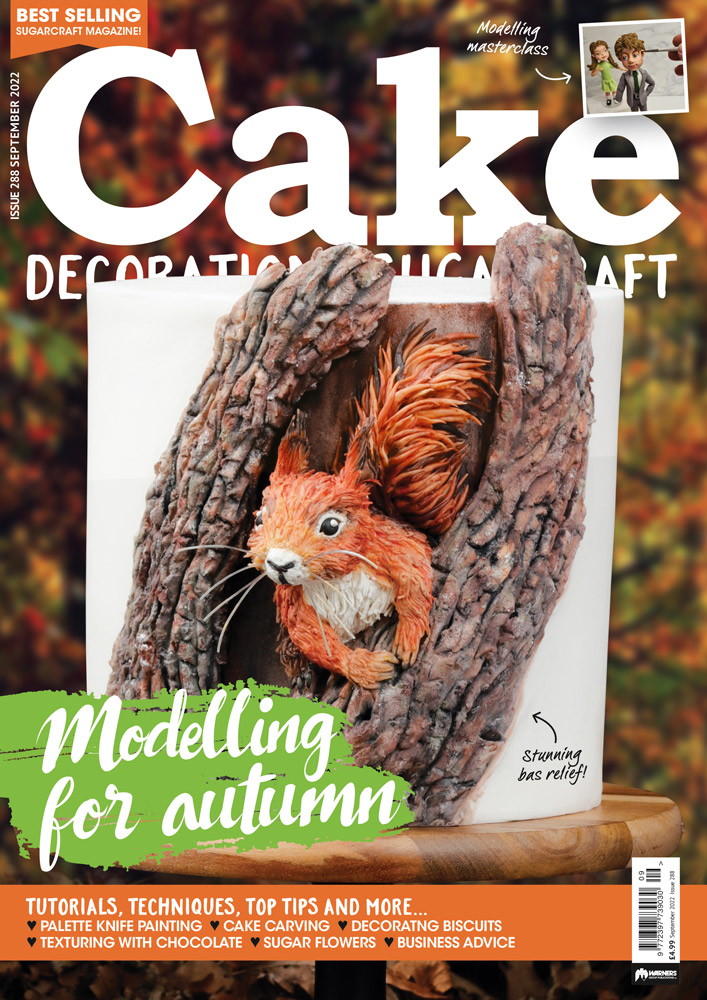  red squirrel cake on the cake decoration and sugarcraft front cover