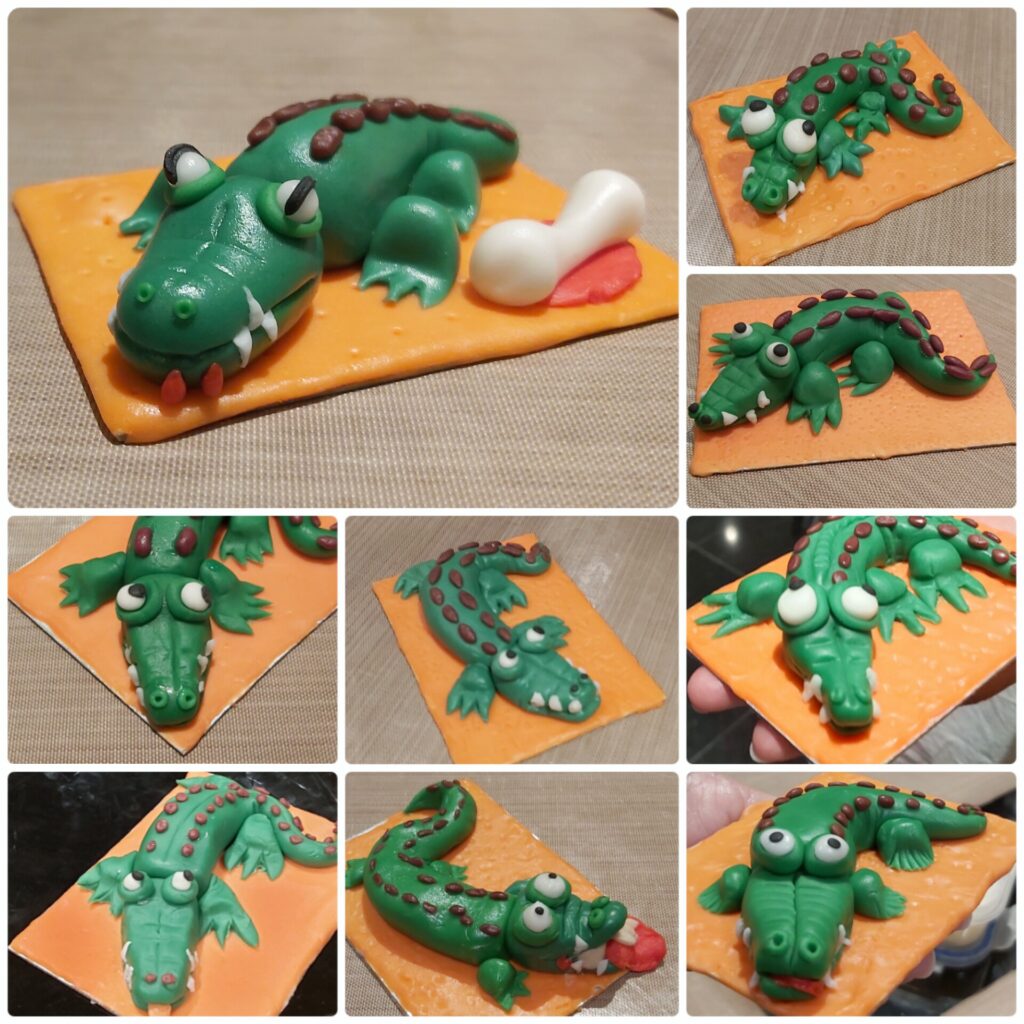crocodile modelling class