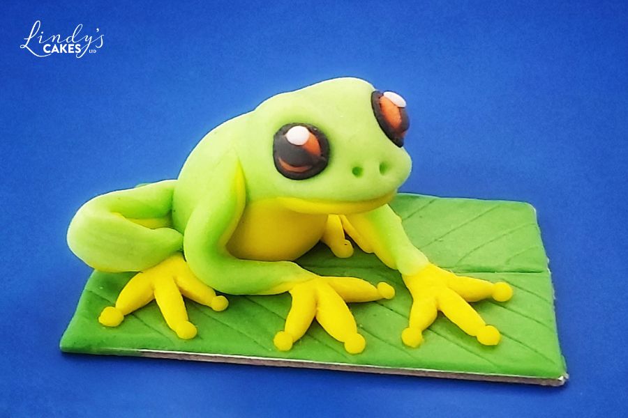 teaching cake decorating - Orange eyed tree frog class
