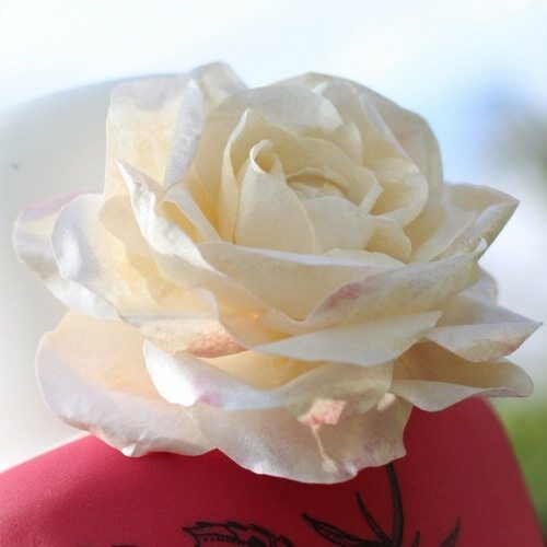 be inspired by what you can do with wafer paper - white rose by Lindy Smith